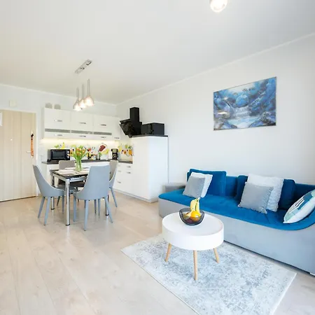 Ms Pro De Lux Class